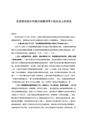在县委实施乡村振兴战略领导小组会议上的讲话.docx