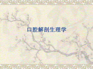 口腔解剖生理学.ppt