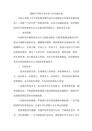 2023年市区学校五育并举工作实施方案.docx