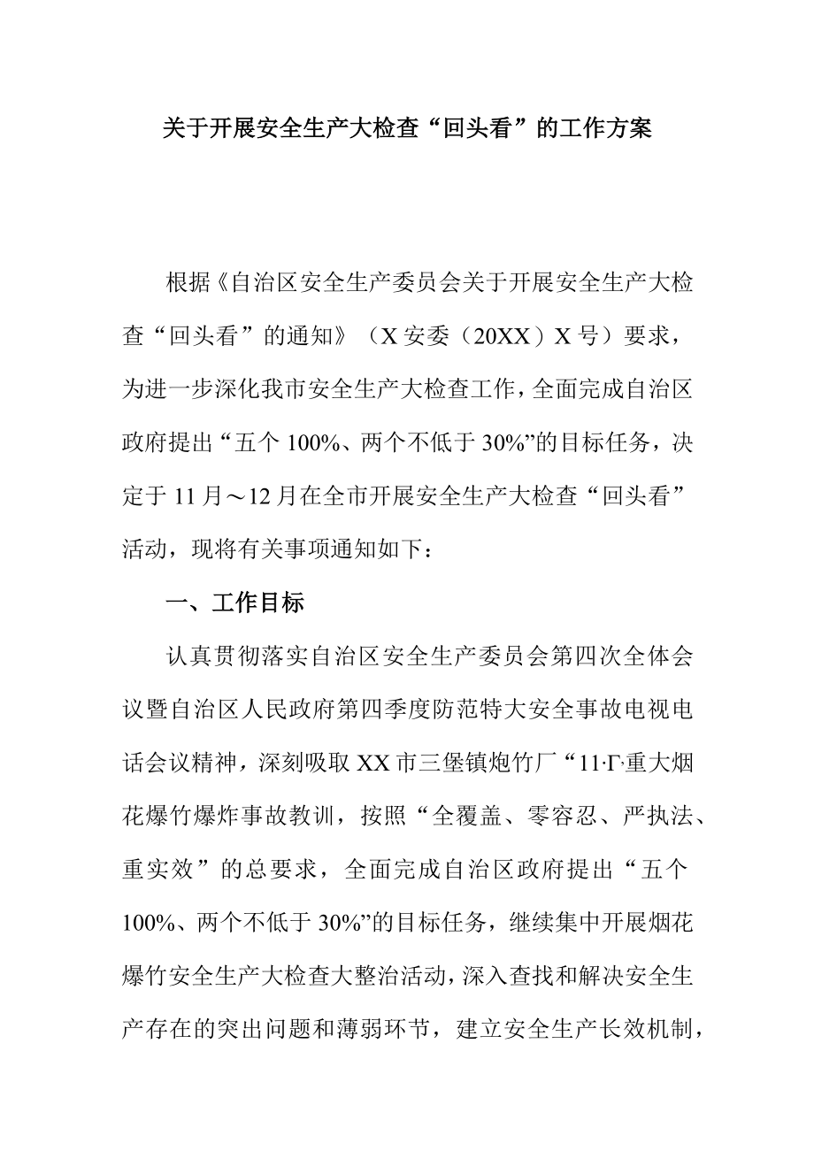 关于开展安全生产大检查回头看的工作方案.docx_第1页