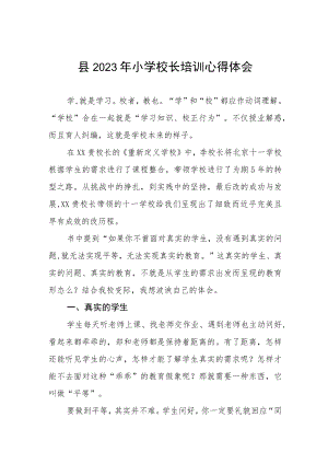 小学校长参加2023年校长培训心得体会三篇模板.docx