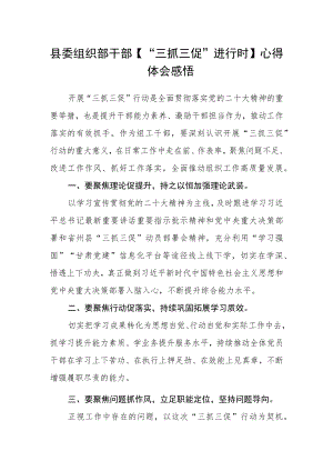 县委组织部干部【“三抓三促”进行时】心得体会感悟.docx