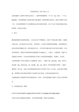 垃圾焚烧发电厂烟气净化工艺.docx