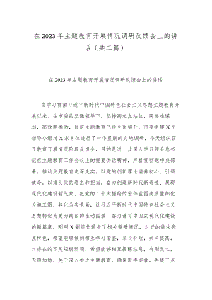 在2023年主题教育开展情况调研反馈会上的讲话(共二篇).docx