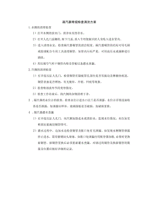 凝汽器常规检查清洗方案.docx