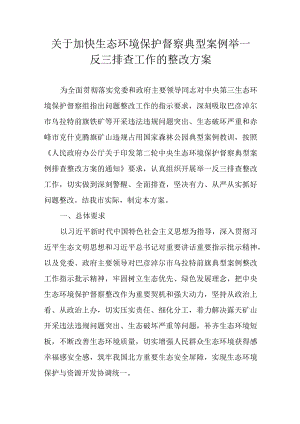 关于加快生态环境保护督察典型案例举一反三排查工作的整改方案.docx