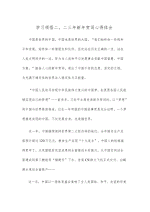 学习领悟二〇二三年新年贺词心得体会.docx