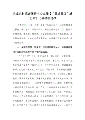 农业农村综合服务中心主任【“三抓三促”进行时】心得体会感悟.docx