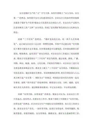 培树企业员工的五种安全文化理念.docx