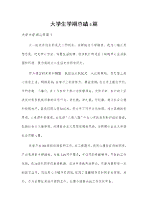 大学生学期总结6篇.docx