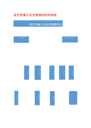 医疗质量与安全管理组织构架图.docx