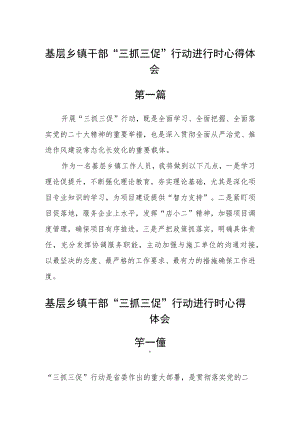 基层乡镇干部“三抓三促”行动进行时心得体会六篇通用.docx