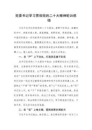 党委书记学习贯彻党的二十大精神轮训感悟.docx