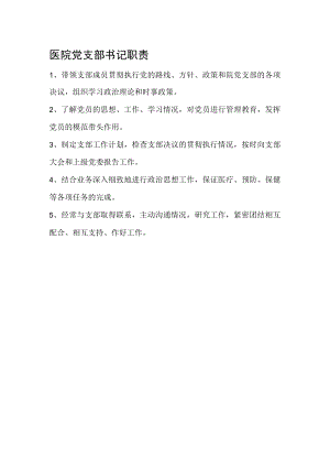 医院党支部书记职责.docx
