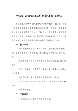 大学正处级调研员任用管理暂行办法.docx