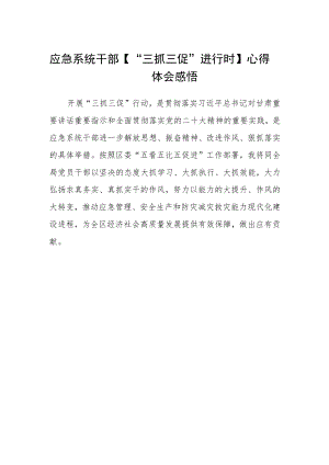 应急系统干部【“三抓三促”进行时】心得体会感悟.docx