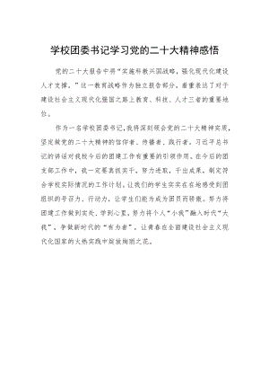 学校团委书记学习党的二十大精神感悟.docx