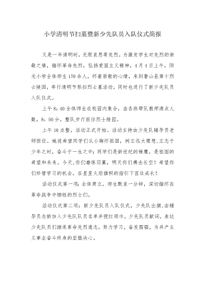 小学清明节扫墓暨新少先队员入队仪式简报.docx