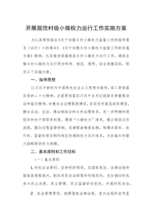 开展规范村级小微权力运行工作实施方案.docx
