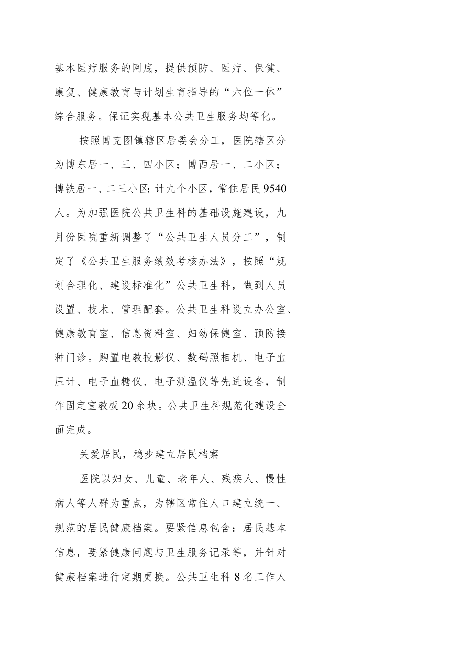 公共卫生服务工作记实.docx_第2页