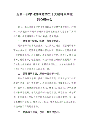 巡察干部学习贯彻党的二十大精神集中轮训心得体会.docx