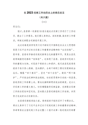 在2023巡视巡察工作动员会上的表态发言共六篇.docx