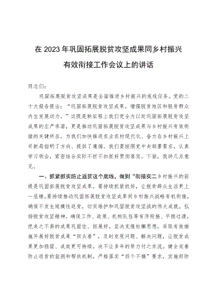 在2023年巩固拓展脱贫攻坚成果同乡村振兴有效衔接工作会议上的讲话.docx