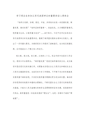 学习领会在参加江苏代表团审议时重要讲话心得体会.docx