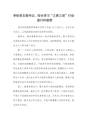 学校党支部书记、校长学习“三抓三促”行动进行时感想.docx