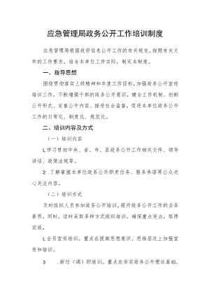 应急管理局政务公开工作培训制度.docx