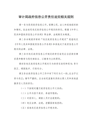 审计局政府信息公开责任追究相关规则.docx
