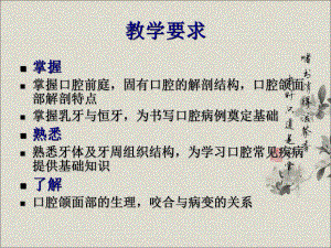 口腔解剖生理学.ppt