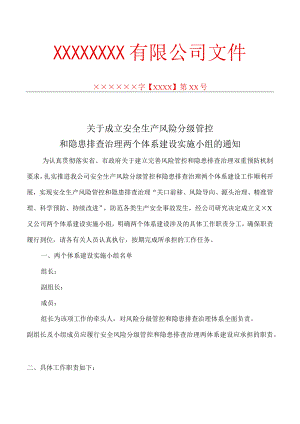 双体系：成立两个体系实施小组的通知.docx