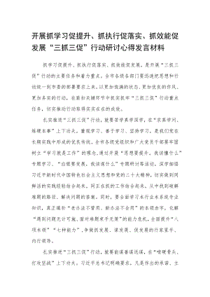 开展抓学习促提升、抓执行促落实、抓效能促发展“三抓三促”行动研讨心得发言材料【最新三篇】.docx