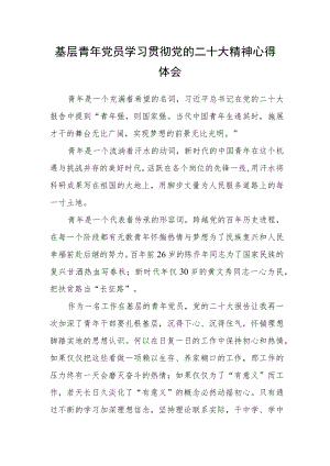 基层青年党员学习贯彻党的二十大精神心得体会.docx