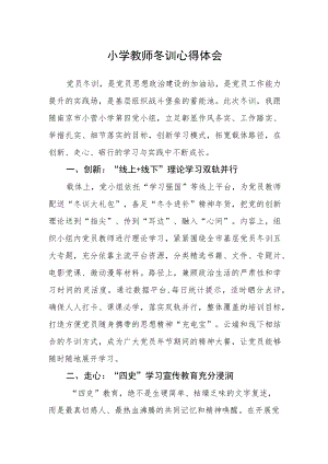 小学教师冬训心得体会.docx