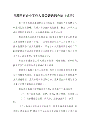 县属国有企业工作人员公开选聘办法（试行）.docx