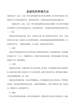 圣诞花的养殖方法.docx