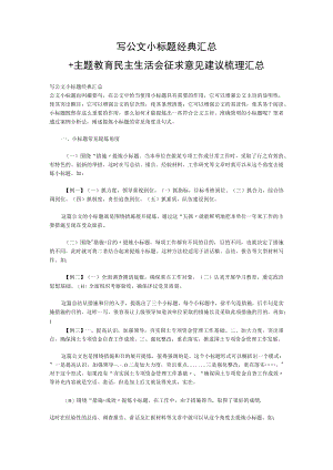写公文小标题经典汇总+主题教育民主生活会征求意见建议梳理汇总.docx