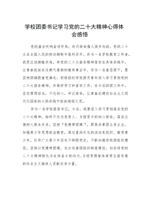 学校团委书记学习党的二十大精神心得体会感悟范本.docx