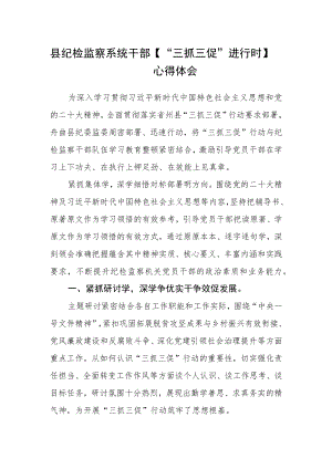 县纪检监察系统干部【“三抓三促”进行时】心得体会.docx