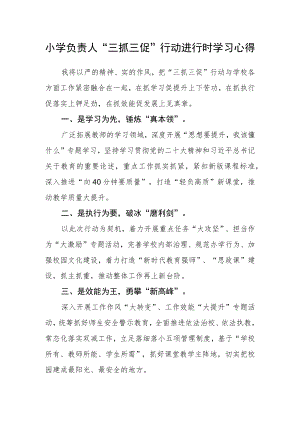 小学负责人“三抓三促”行动进行时学习心得.docx