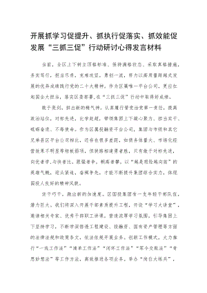 开展抓学习促提升、抓执行促落实、抓效能促发展“三抓三促”行动研讨心得发言材料3篇 .docx