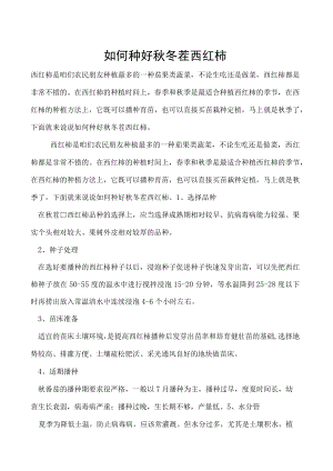 如何种好秋冬茬西红柿.docx