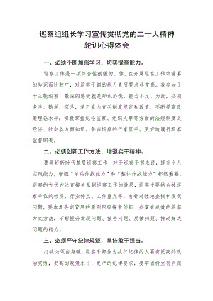 巡察组组长学习宣传贯彻党的二十大精神轮训心得体会.docx