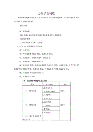 分级护理制度.docx
