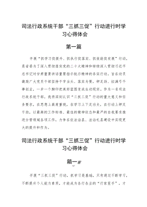 司法行政系统干部“三抓三促”行动进行时学习心得体会五篇.docx