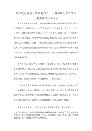 学习践行在学习贯彻党的二十大精神研讨班开班式上重要讲话心得体会.docx