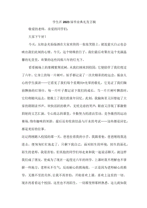 大学生在2023届毕业生典礼发言稿汇编4份.docx