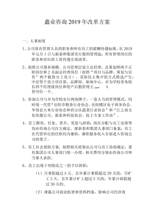 咨询公司2019年改革方案.docx